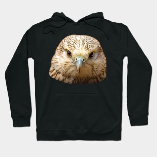 Head of a Gos Hybrid Falcon Hoodie